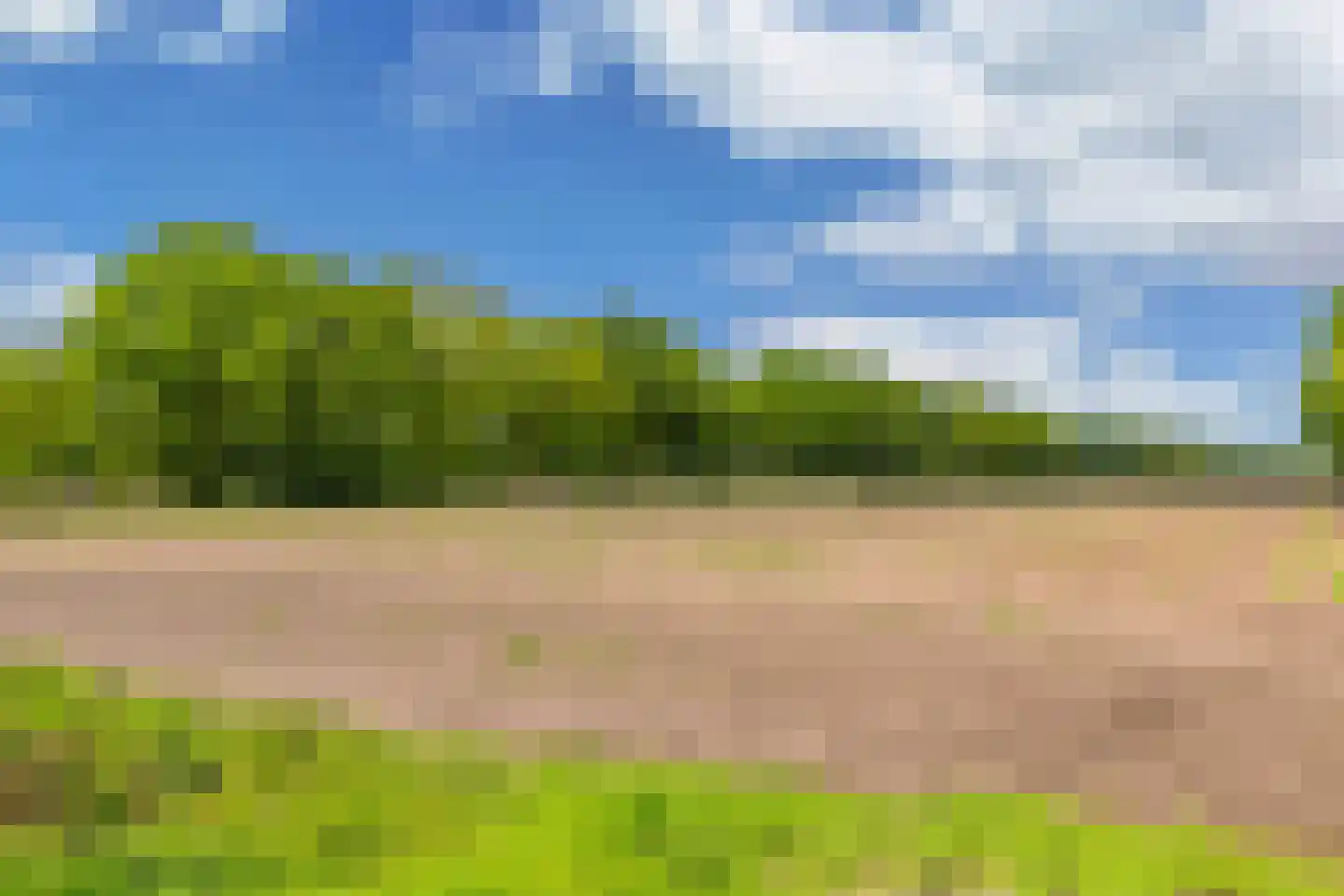 Flaeijel 3 Nieuwehorne thumbnail 68