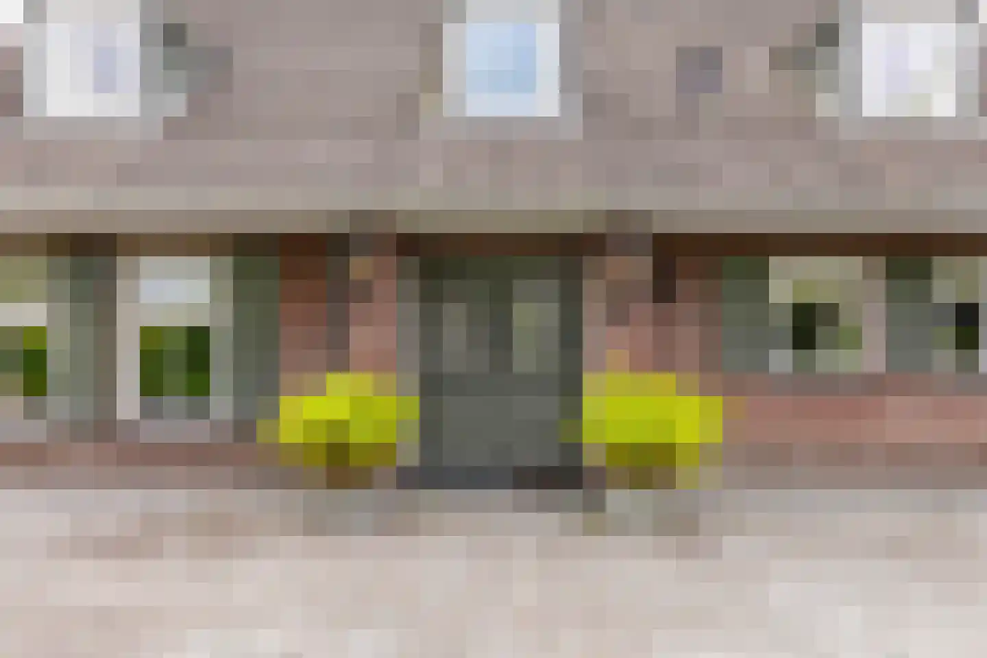 Flaeijel 3 Nieuwehorne thumbnail 7