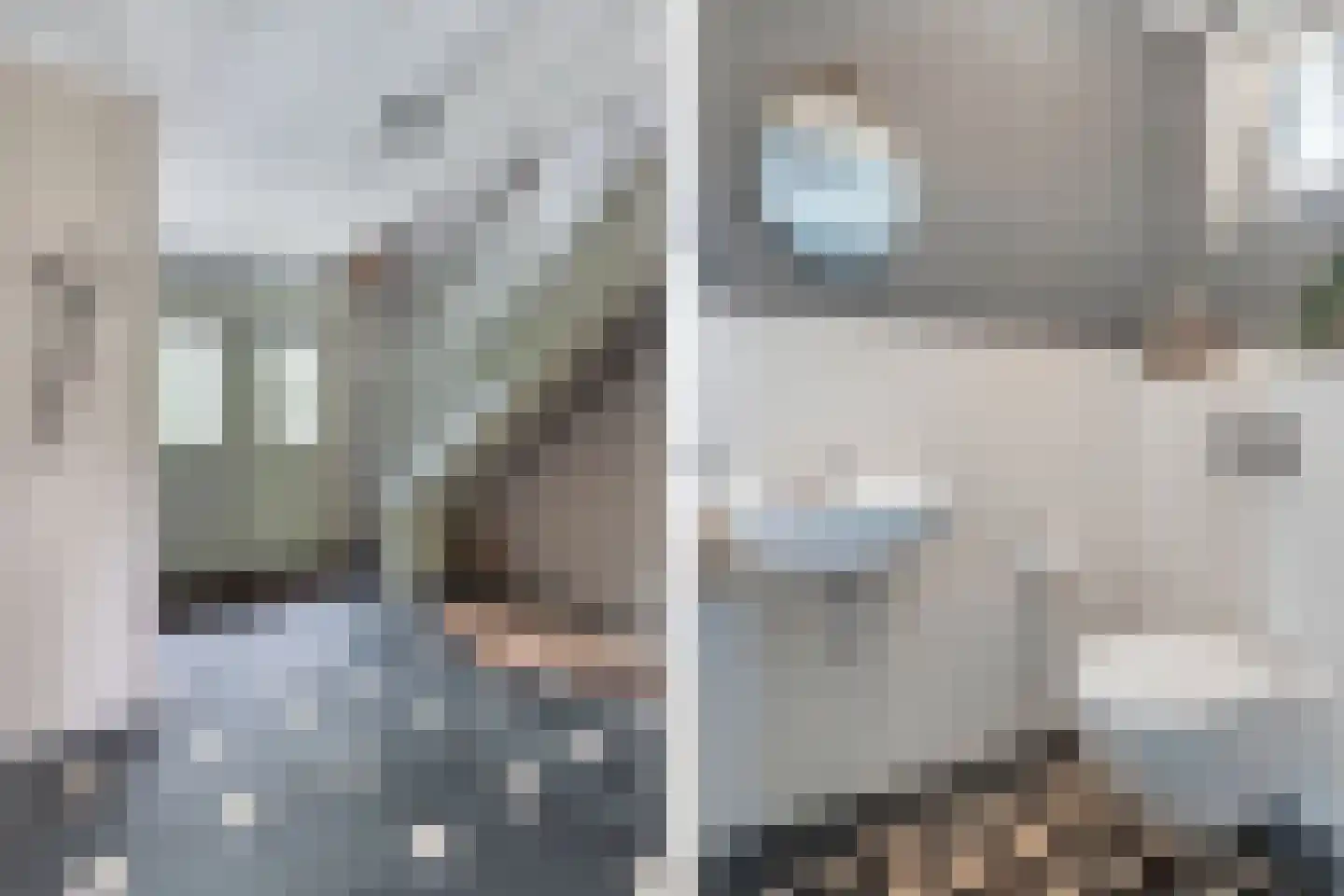 Flaeijel 3 Nieuwehorne thumbnail 9