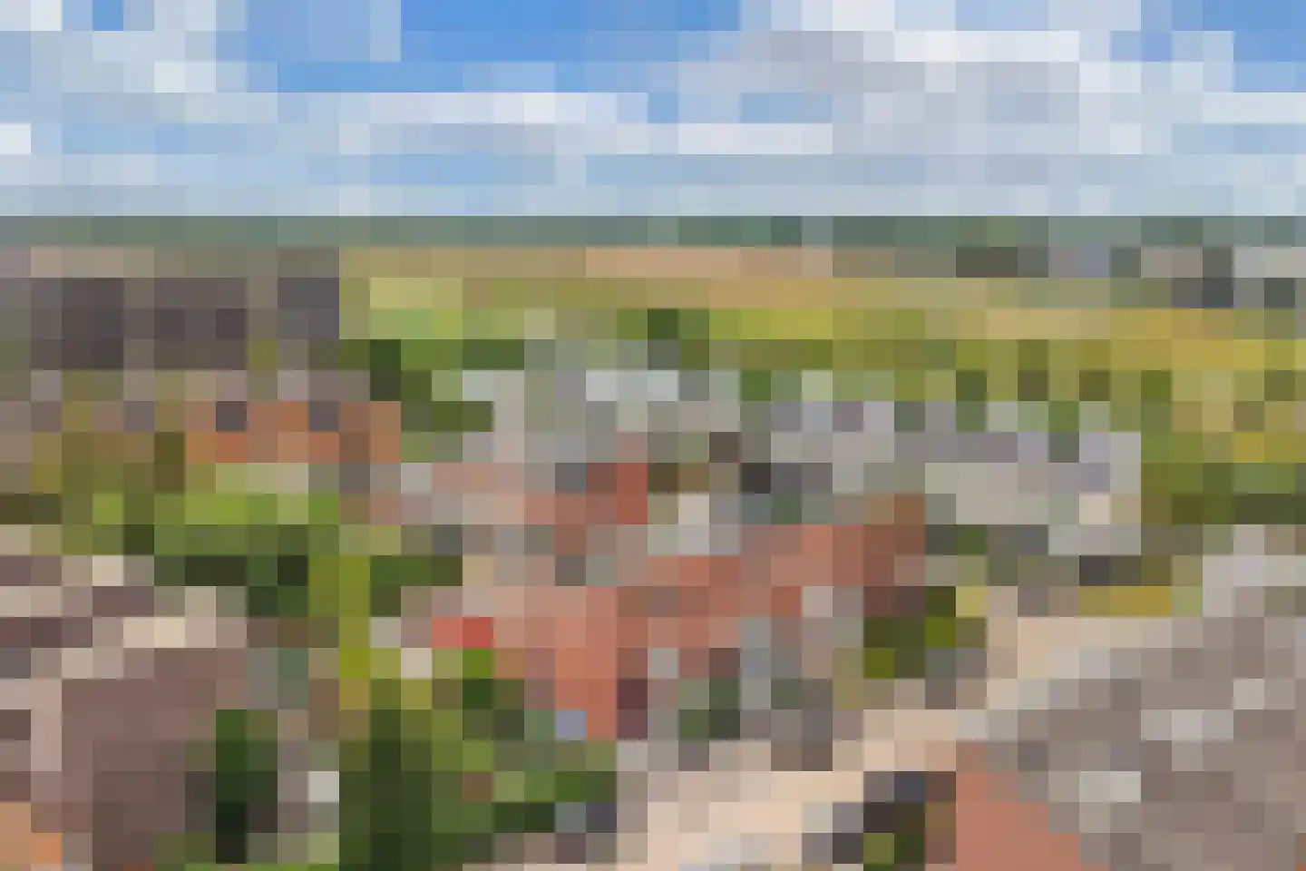 Flakkee 8 Lelystad thumbnail 6