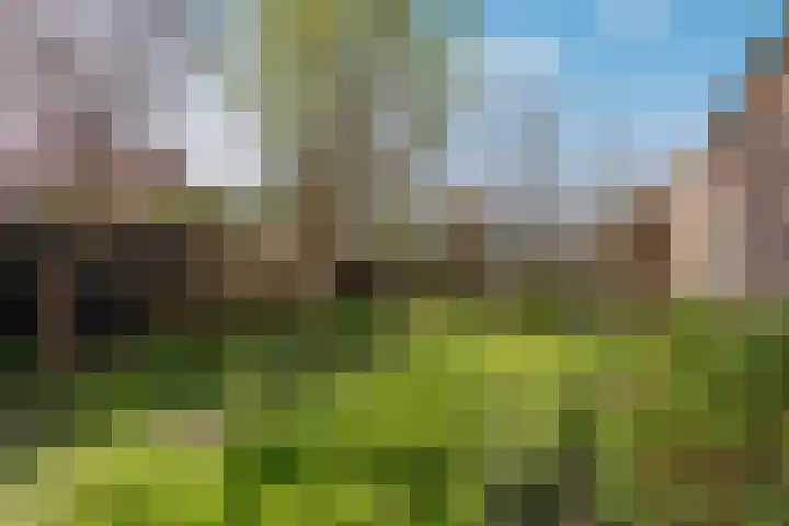 Flakkee 97 Lelystad thumbnail 23