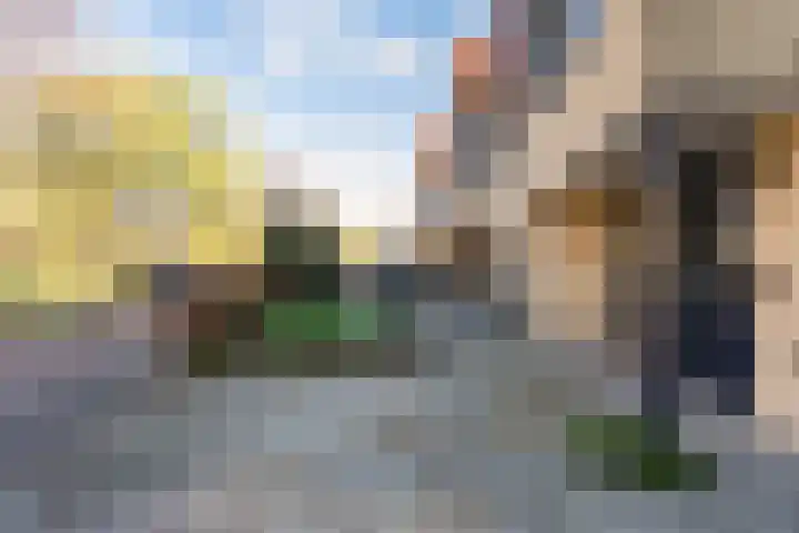 Flakkee 97 Lelystad thumbnail 25