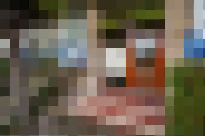 Flakkee 97 Lelystad thumbnail 8