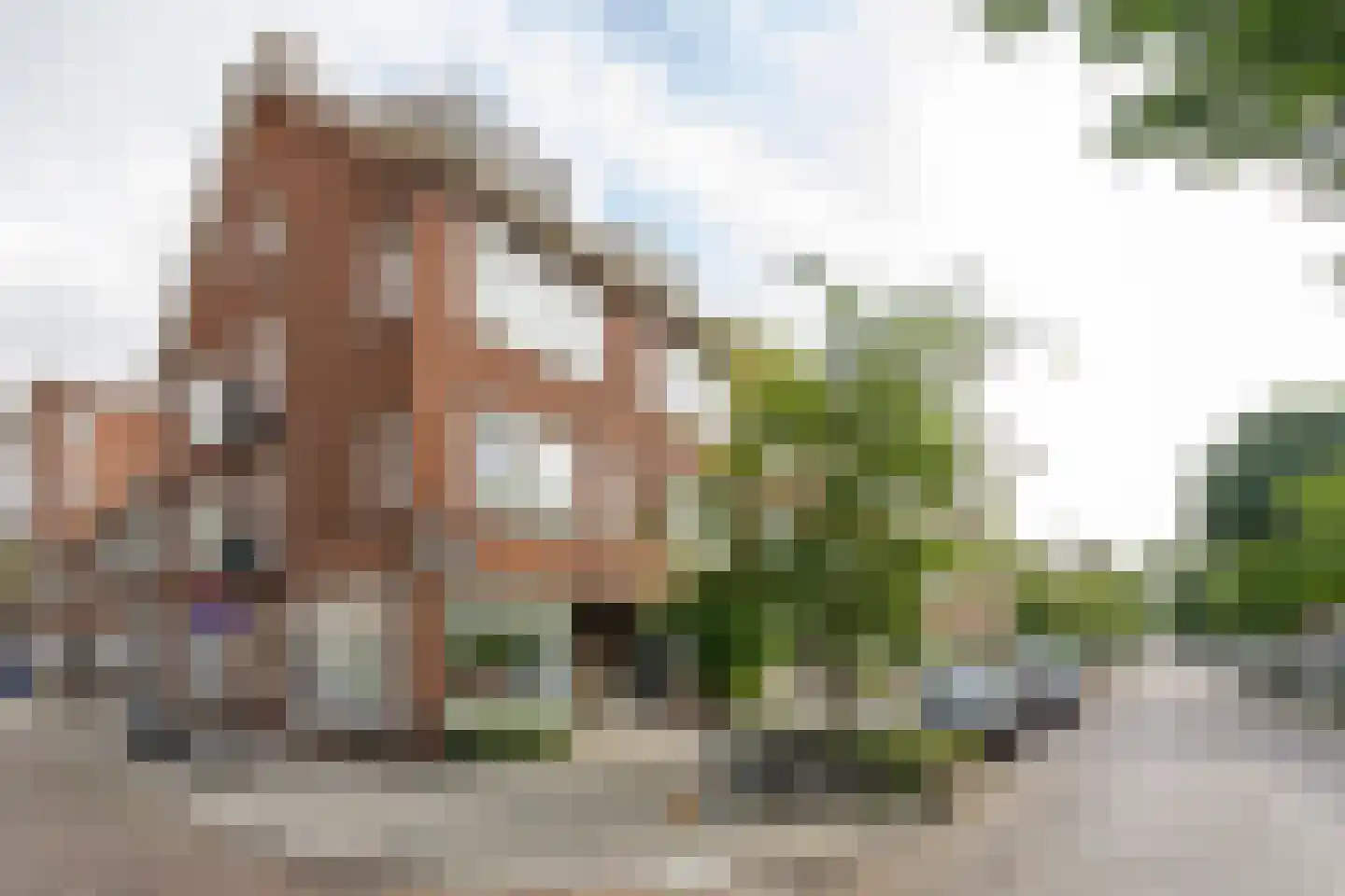 Flakkeesestraat 139 C Rotterdam thumbnail 30