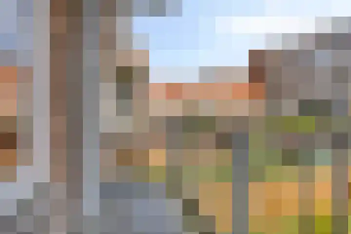 Flakkeesestraat 51 B Rotterdam thumbnail 12