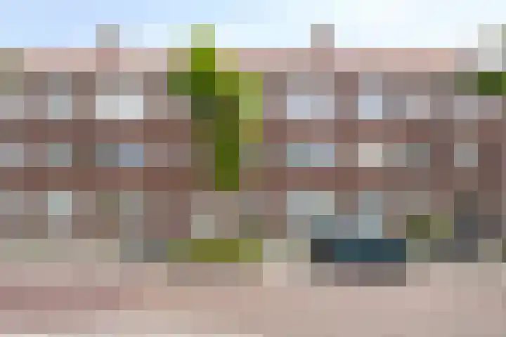 Flakkeesestraat 51 B Rotterdam thumbnail 14