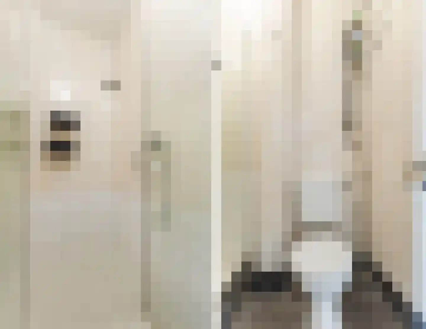 Flakkeesestraat 69 B Rotterdam thumbnail 8
