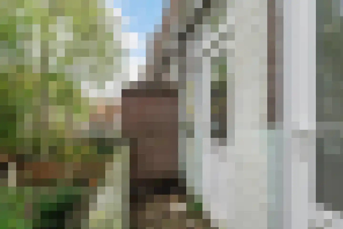 Flakkeesestraat 87 C Rotterdam thumbnail 10