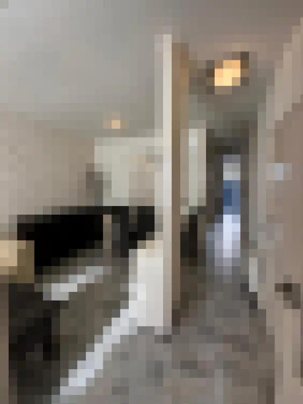 Flakkeesestraat 95 B Rotterdam thumbnail 10