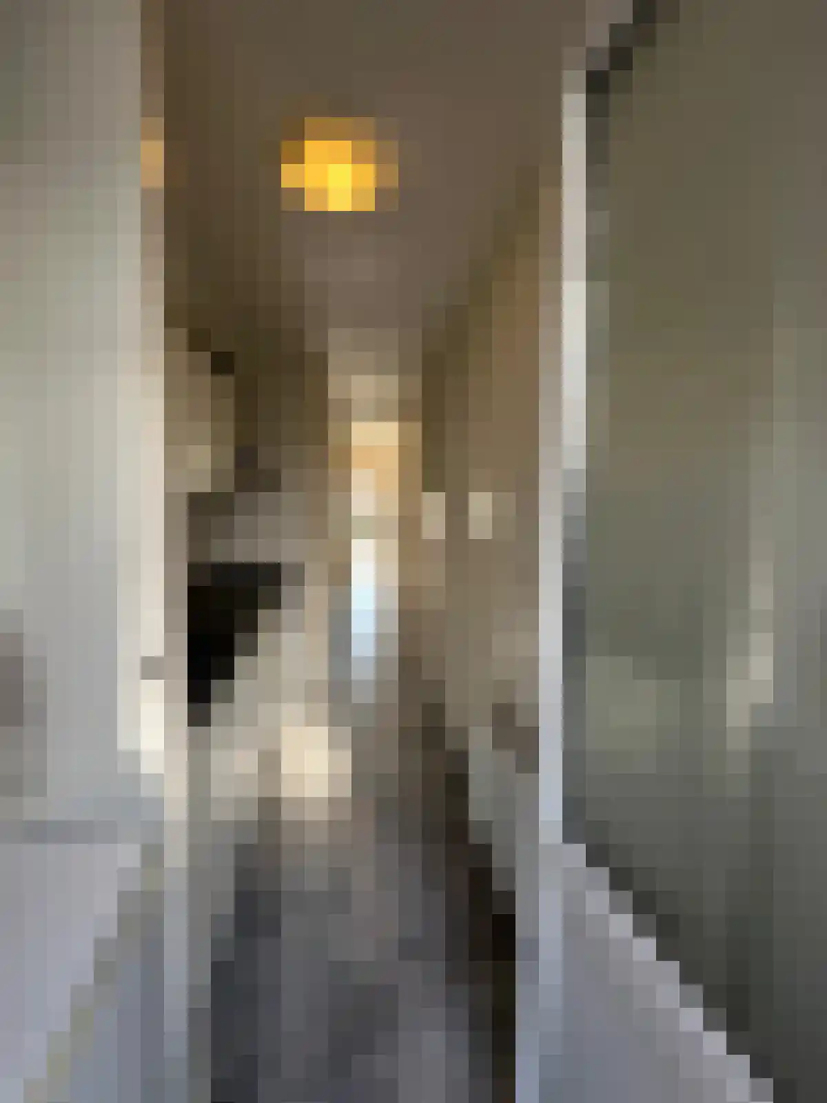 Flakkeesestraat 95 B Rotterdam thumbnail 13