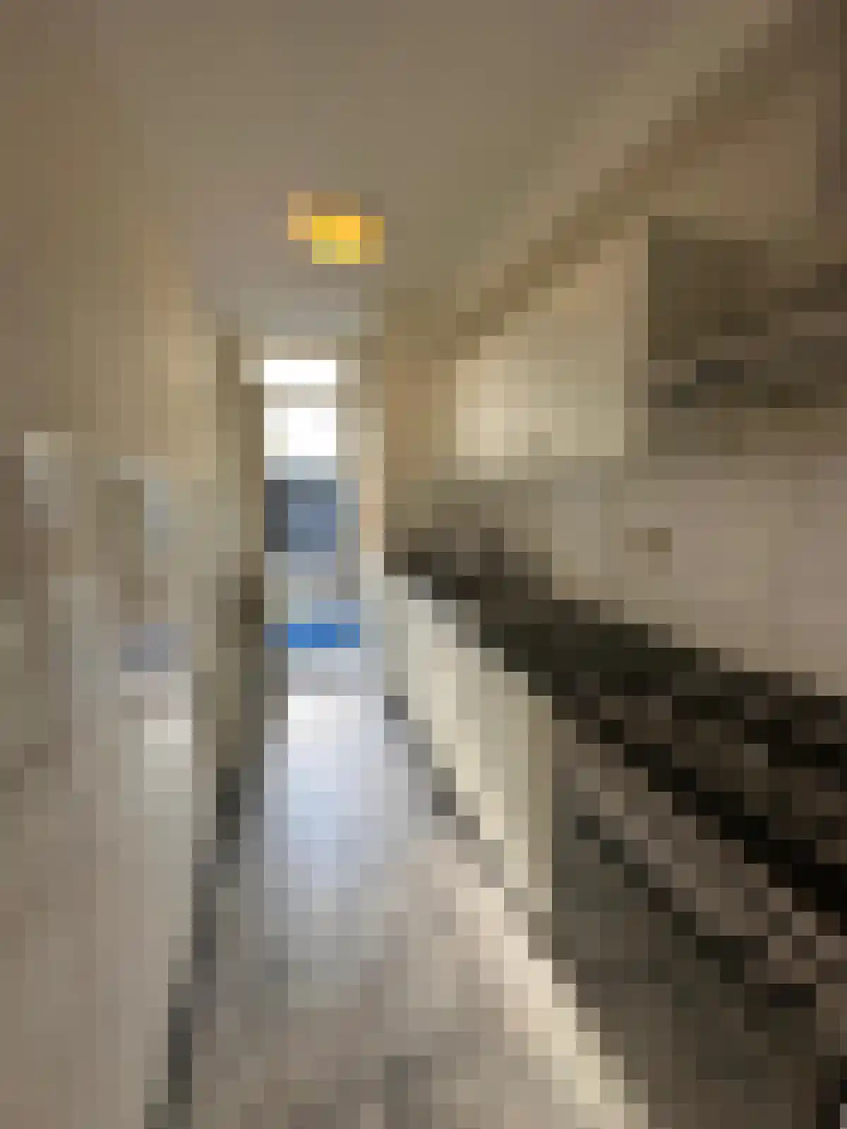 Flakkeesestraat 95 B Rotterdam thumbnail 15