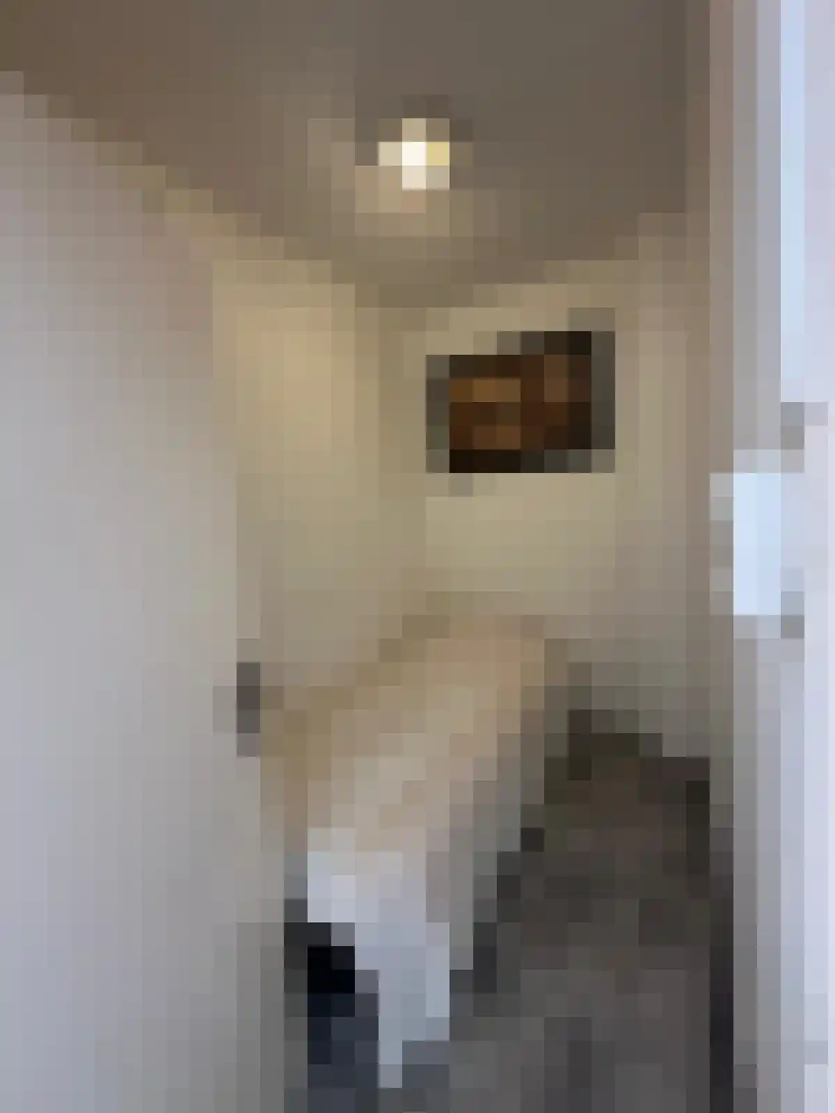 Flakkeesestraat 95 B Rotterdam thumbnail 22