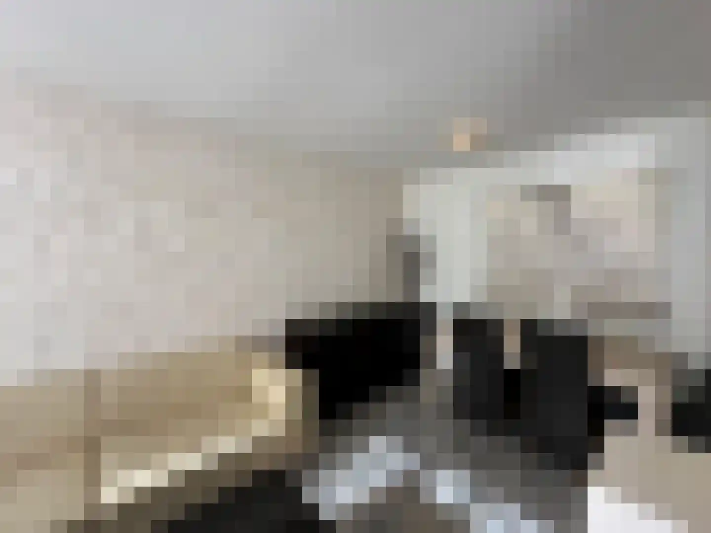 Flakkeesestraat 95 B Rotterdam thumbnail 9