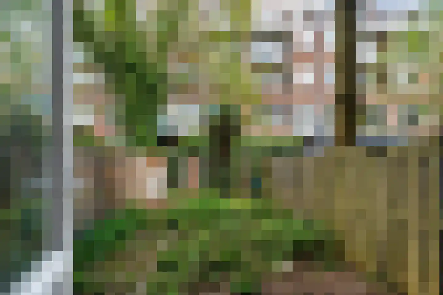 Flakkeesestraat 97 A Rotterdam thumbnail 4