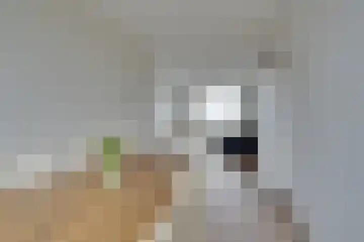 Flakkeestraat 15 Amstelveen thumbnail 13