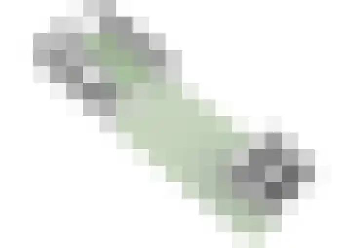 Flakkeestraat 32 Amstelveen thumbnail 33