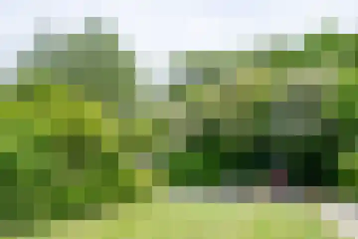 Flakkeestraat 33 Amstelveen thumbnail 29