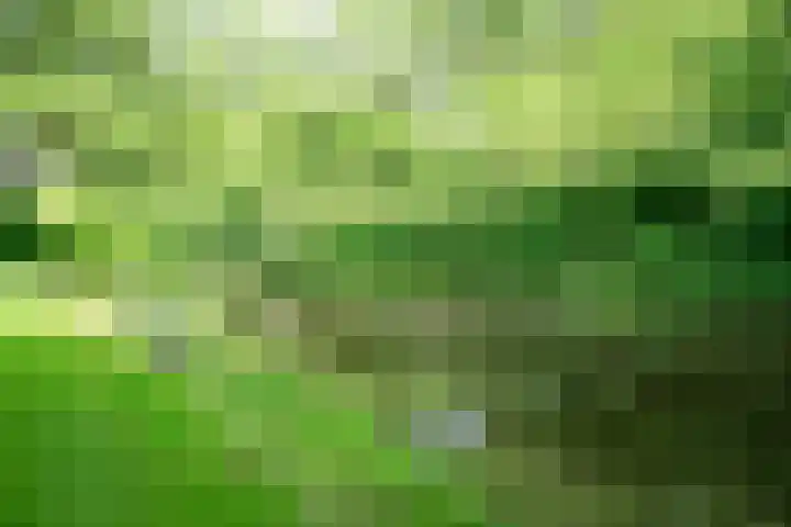 Flakkeestraat 33 Amstelveen thumbnail 31
