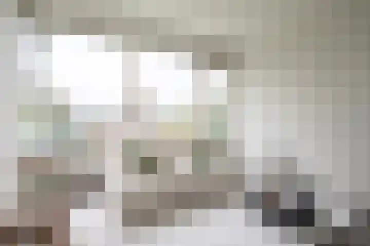 Flakkeestraat 65 Amstelveen thumbnail 4