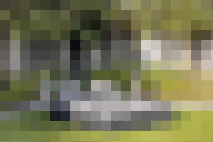 Flamenco 8 Nieuw-Vennep thumbnail 27
