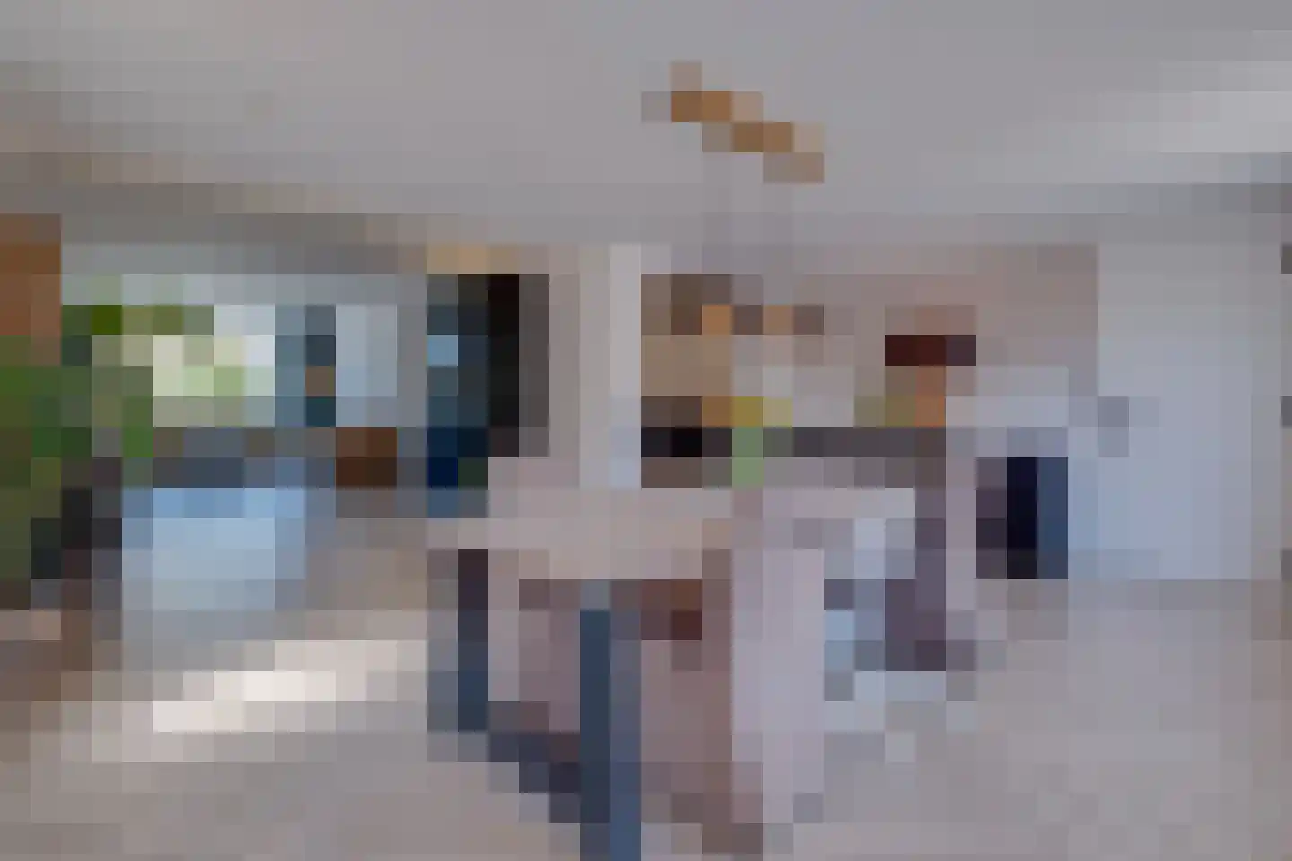 Flamentstraat 2 Thorn thumbnail 17
