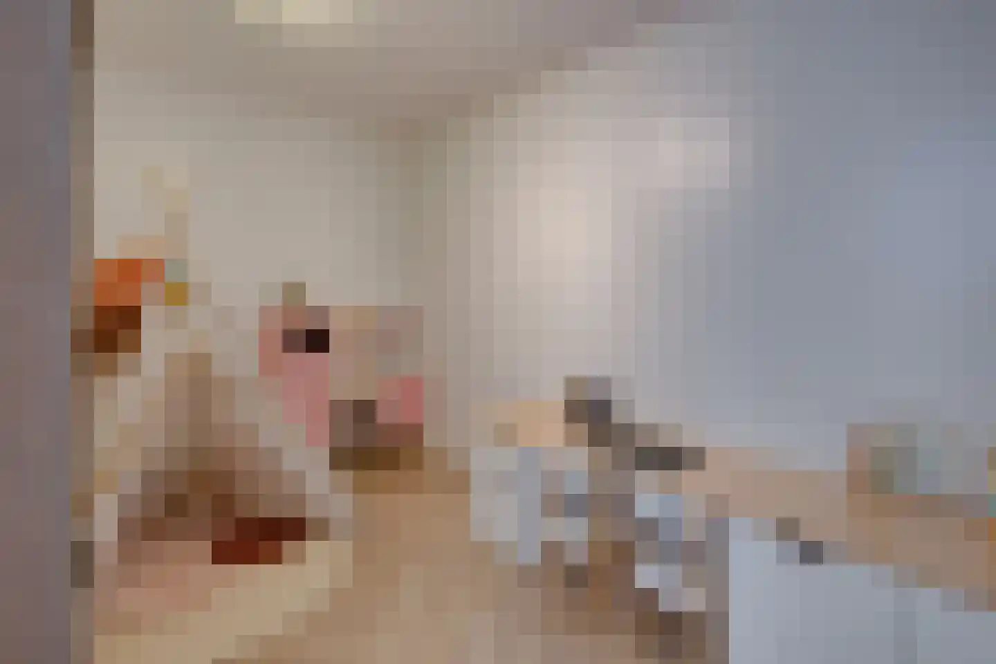 Flamentstraat 2 Thorn thumbnail 20