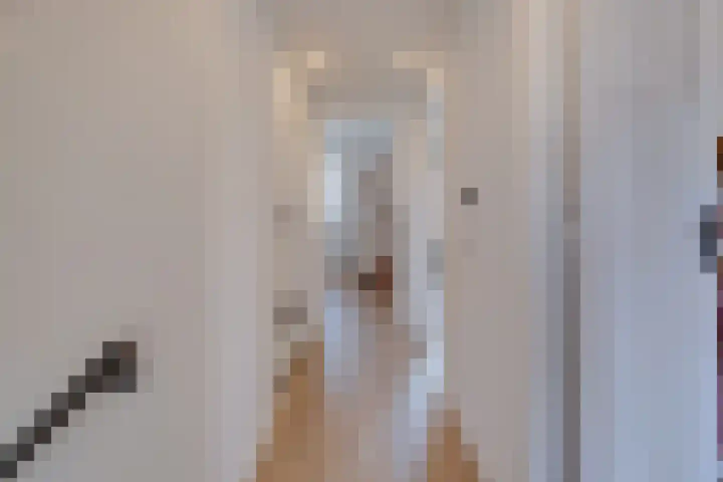 Flamentstraat 2 Thorn thumbnail 22