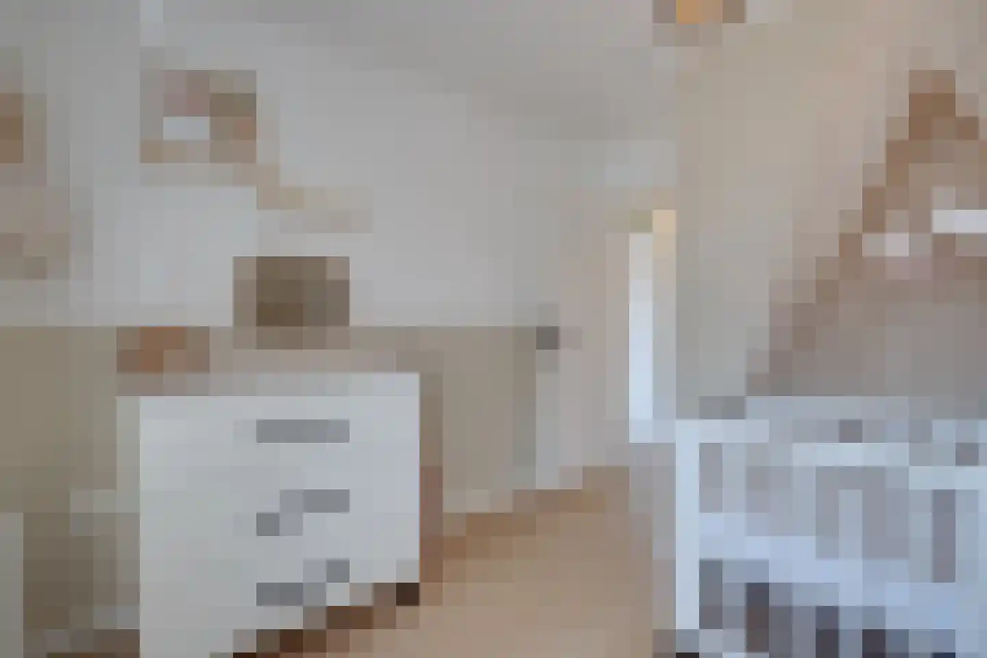 Flamentstraat 2 Thorn thumbnail 28