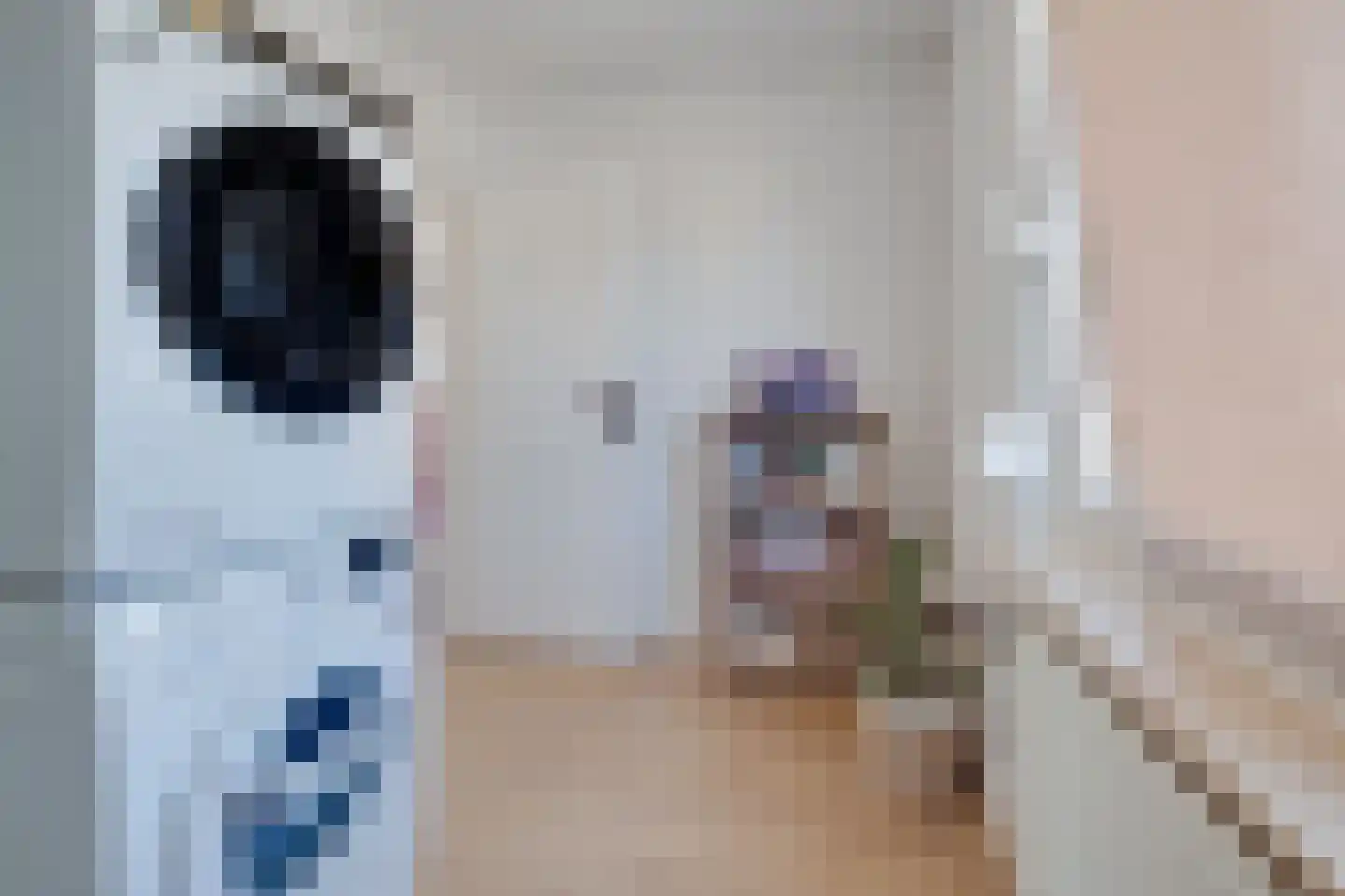 Flamentstraat 2 Thorn thumbnail 32