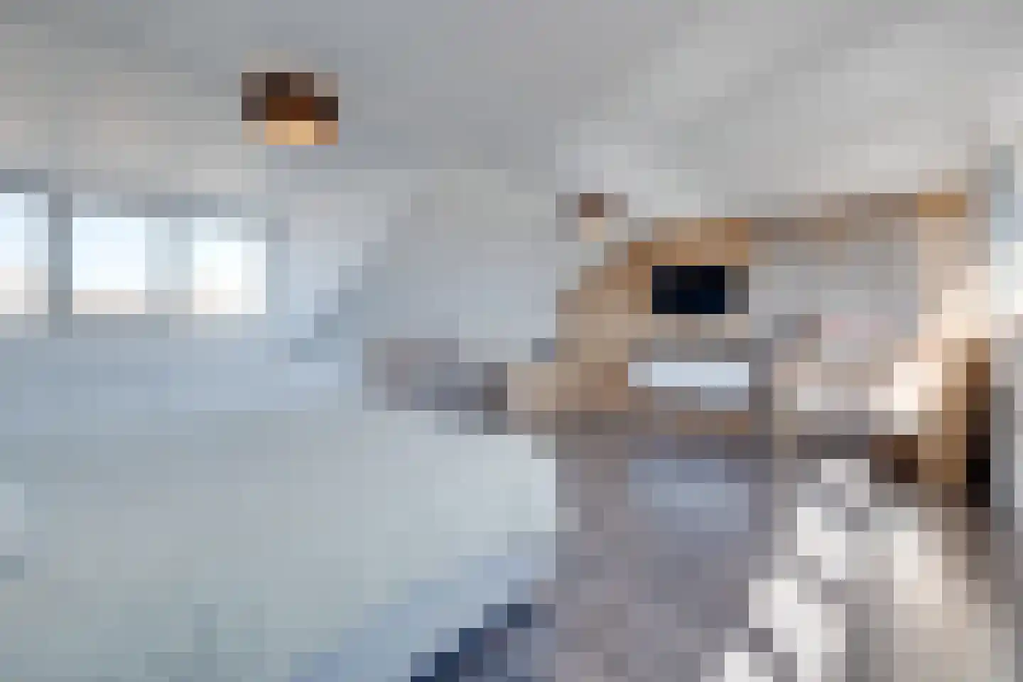 Flamentstraat 2 Thorn thumbnail 34
