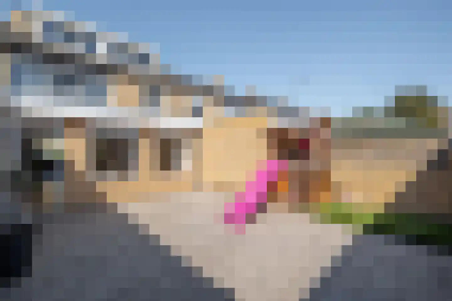 Flamentstraat 2 Thorn thumbnail 37