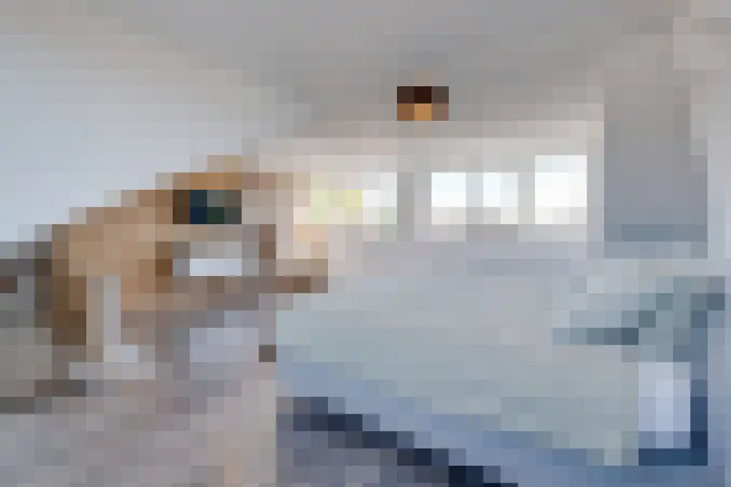 Flamentstraat 2 Thorn thumbnail 5