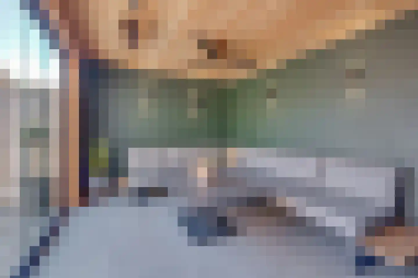 Flamentstraat 2 Thorn thumbnail 6