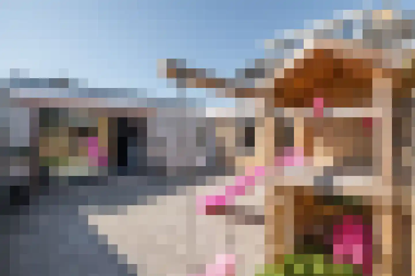 Flamentstraat 2 Thorn thumbnail 7