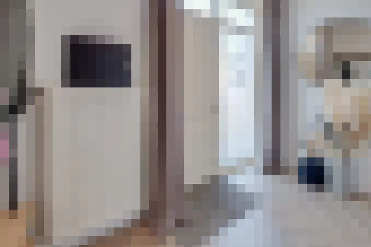 Flamentstraat 2 Thorn thumbnail 8
