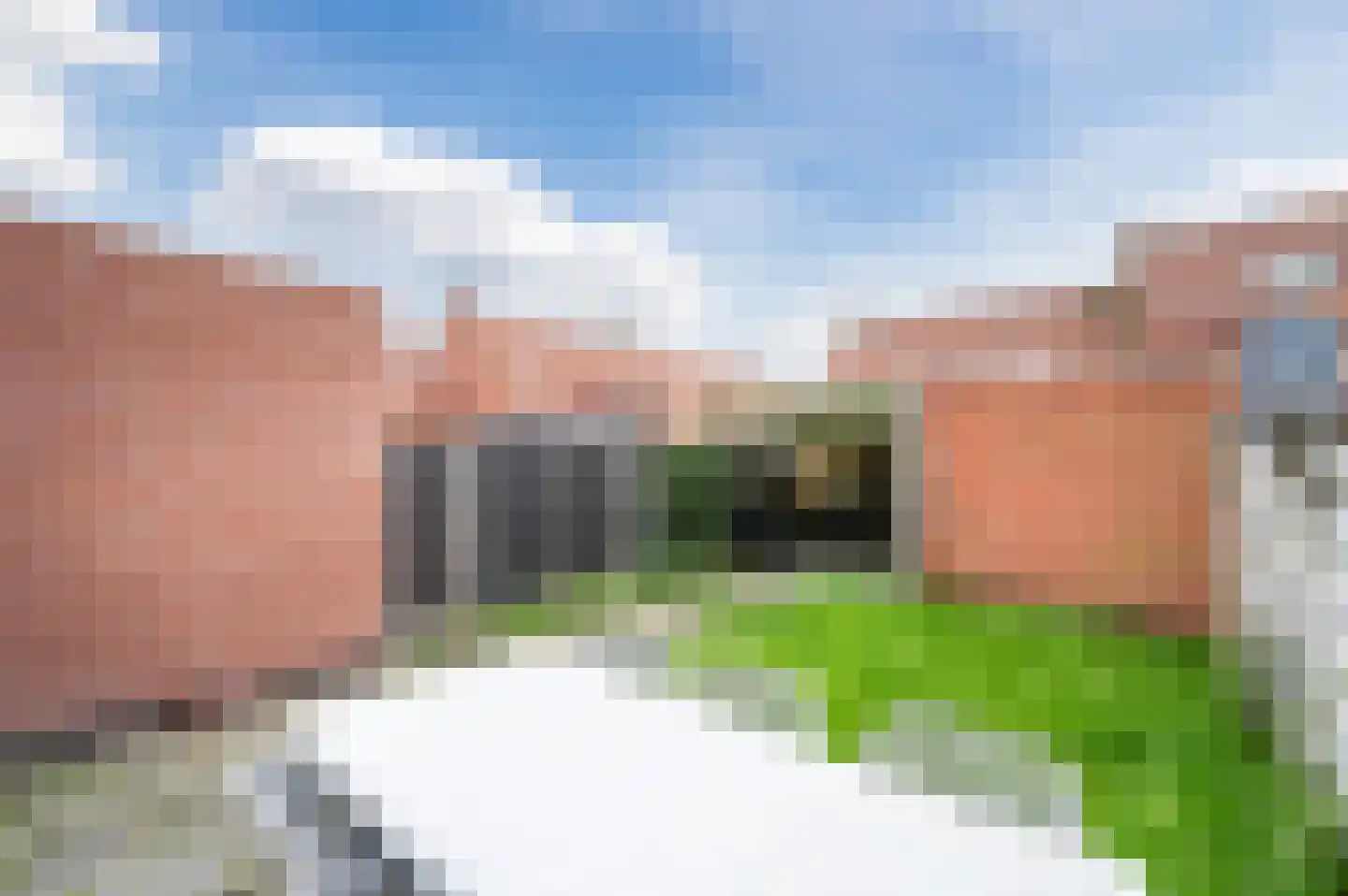 Flamingohoek 14 Spijkenisse thumbnail 38