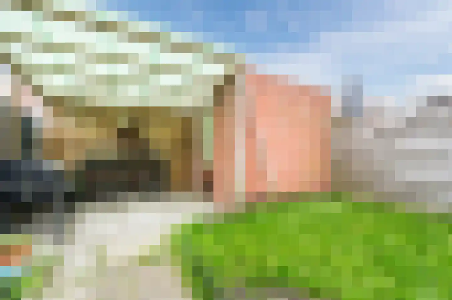 Flamingohoek 14 Spijkenisse thumbnail 39