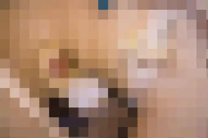 Flamingohof 15 Bovenkarspel thumbnail 10
