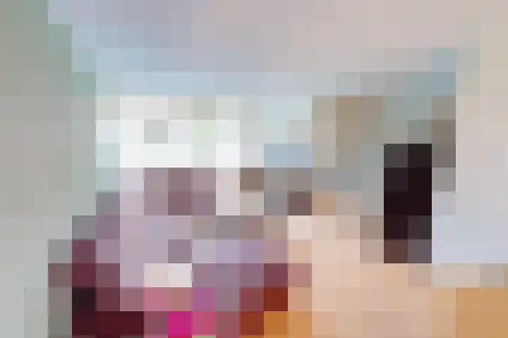 Flamingohof 15 Bovenkarspel thumbnail 15