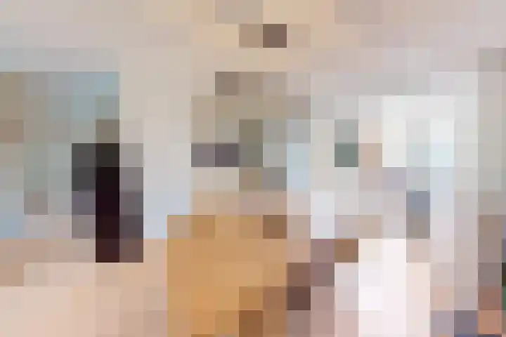 Flamingohof 15 Bovenkarspel thumbnail 20