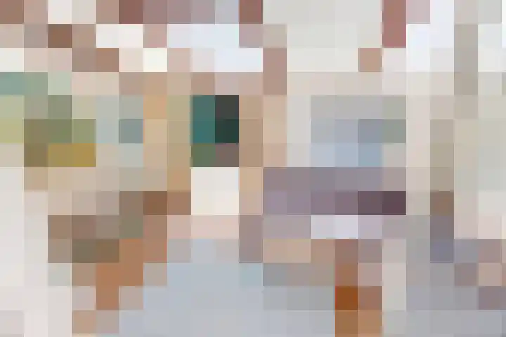 Flamingohof 15 Bovenkarspel thumbnail 30