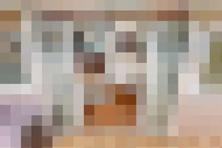 Flamingohof 15 Bovenkarspel thumbnail 34