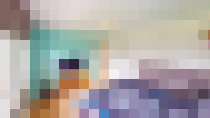Flamingohof 15 Bovenkarspel thumbnail 39
