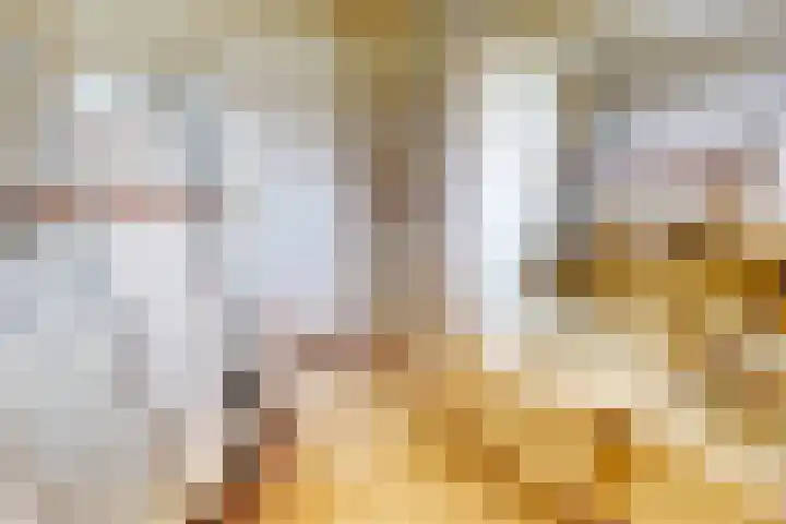 Flamingohof 15 Bovenkarspel thumbnail 50