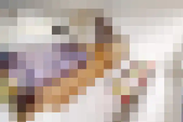 Flamingohof 15 Bovenkarspel thumbnail 55