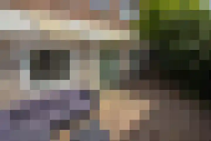 Flamingohof 15 Bovenkarspel thumbnail 60