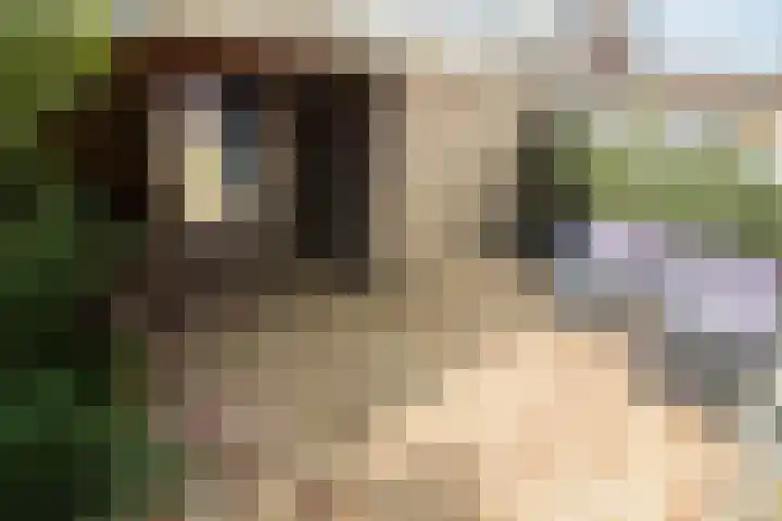 Flamingohof 15 Bovenkarspel thumbnail 63