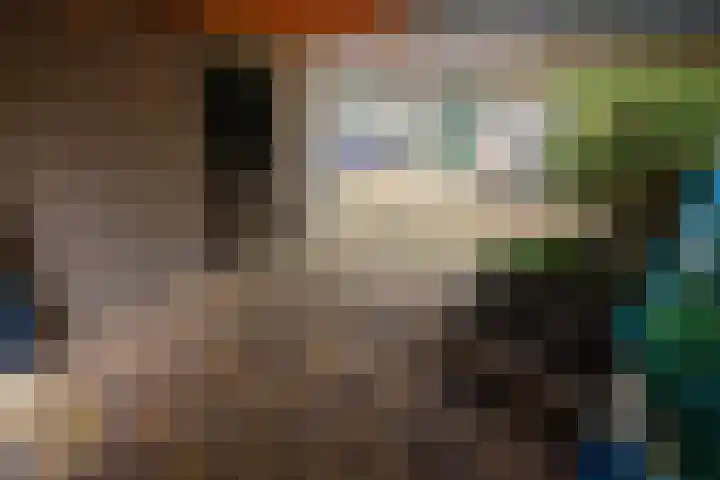 Flamingohof 15 Bovenkarspel thumbnail 71