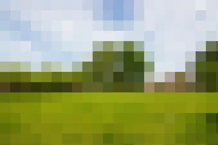 Flamingohof 15 Bovenkarspel thumbnail 76