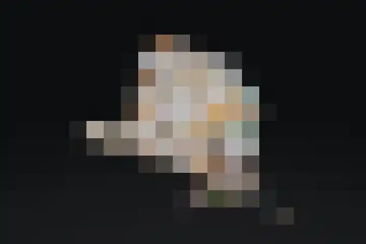 Flamingohof 15 Bovenkarspel thumbnail 78